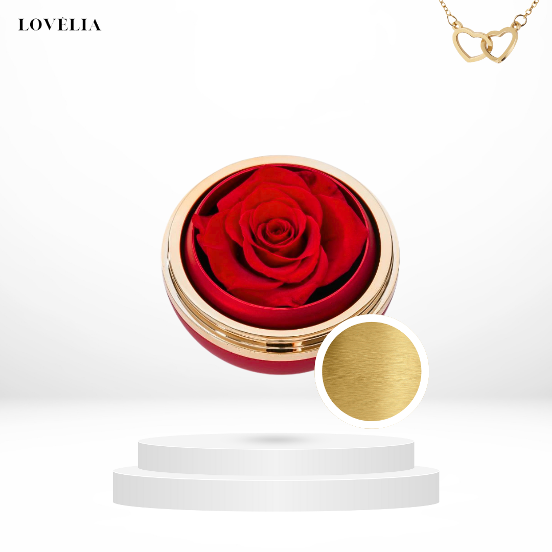 Coffret Rose Éternelle Lovélia™ & Collier Personnalisé